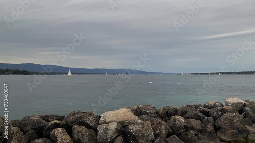 A view of a lake or sea bay with sailing yachts and swans floating against a backdrop of mountains.