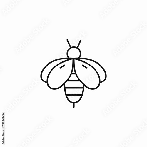 animal pollinating flying insect bee icon sign vector