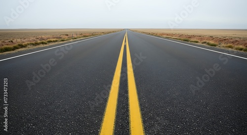 Straight asphalt road with yellow lines stretching into the distance