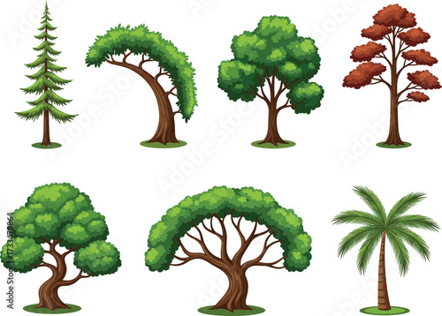 Cartoon tree collection, coniferous tree, palm tree, leafy tree, forest illustration, nature clipart, stylized foliage, landscape design element