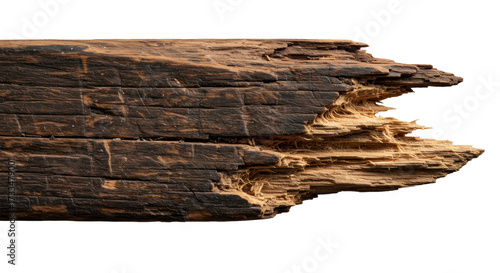 Macro close-up of dark brown weathered wooden plank, intricate grain, splintered raw end, isolated on transparent, dramatic shadows, natural decay