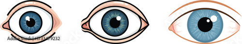 Realistic Eye Illustrations Expressive Character Design