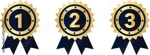 First, Second, Third Place Gold and Navy Award Ribbons