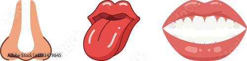 Facial Features A Collection of Nose, Tongue, and Mouth Illustrations