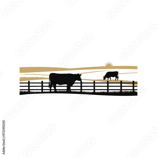 An isolated brown horse standing on a wooden park bench, an unusual object for rest in an empty field