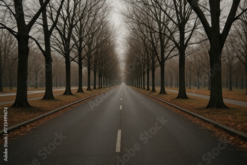An empty road, flanked by symmetrical trees, leads towards an indefinite horizon, bathed in a somber and thought-provoking mood. 