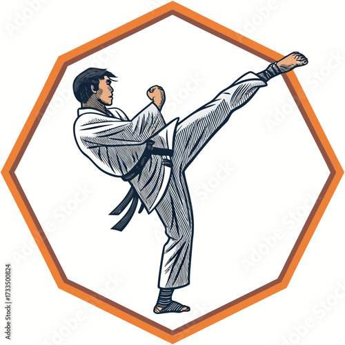 A karateka performs a high kick within an octagonal frame.