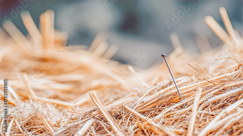 Finding a needle in a haystack with a close-up view of straw and metal pin during bright daylight