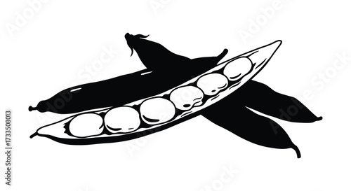 Black and White Silhouette of Broad Beans in Pods Simple Vector Illustration
