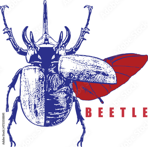 Rhinoceros Beetle Takeoff Illustration. Open Wings with Red Details. Blue and White Vintage Sketch Style. High Contrast Apparel Design. Entomology Art.