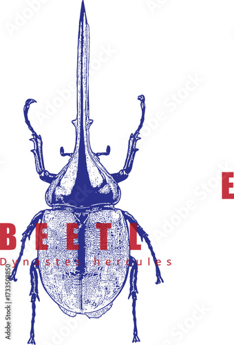 Hercules Beetle Long Horn Illustration Top Down. Blue Vintage Engraving. Red Text, Dynastes hercules. High Contrast Entomology T-Shirt Graphic.