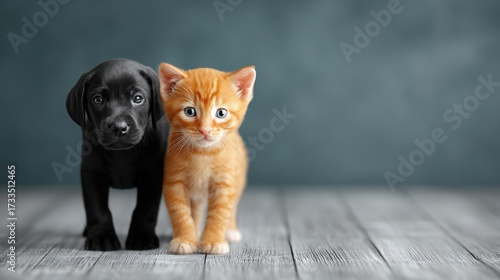 Cute puppies and adorable kittens featuring playful young animals furry companions and charming pet photography ideal for animal lovers and pet care markets