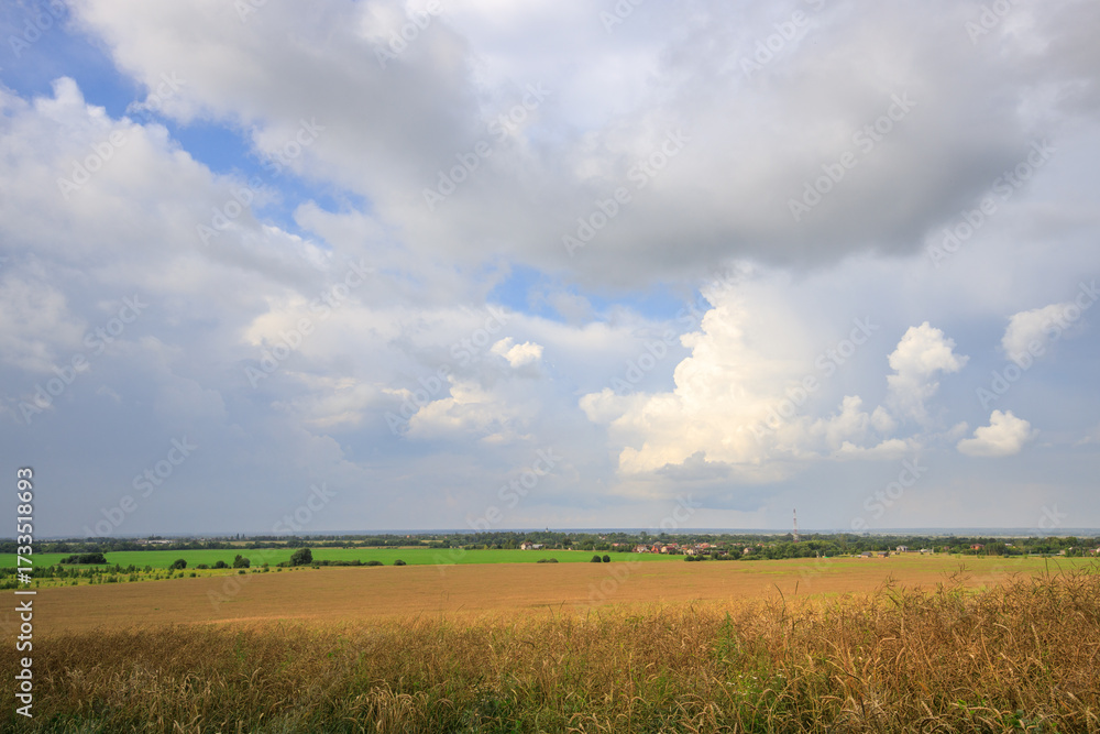 Obraz premium Field of tall grass with a cloudy sky in the background