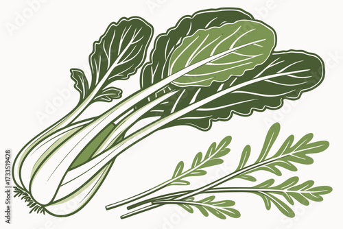 vector illustration of fresh vegetable