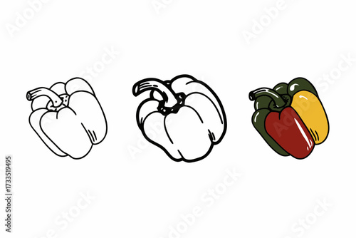 vector illustration of a capsicum