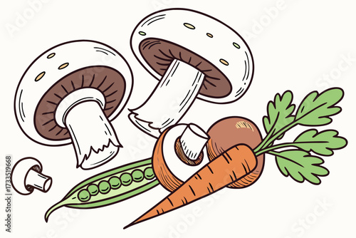 vector illustration of mushrooms
