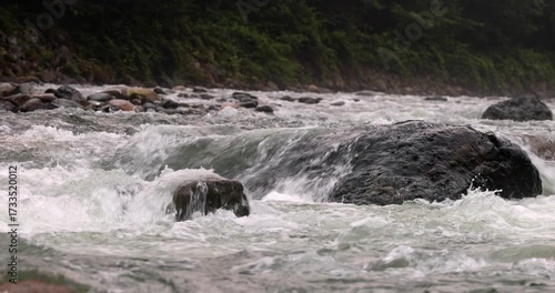 Close-up 4K UHD footage of a crystal-clear mountain stream flowing over mossy rocks in the lush green Firtina Valley, Camlihemsin, Turkey – a serene and natural landscape background. Rize, Turkey 2025