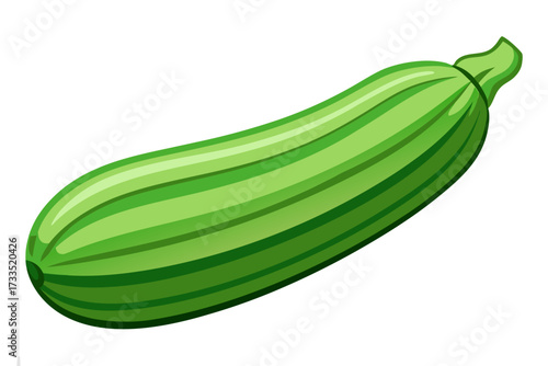 vector illustration of a green zucchini