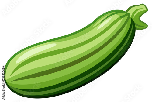 zucchini isolated on white