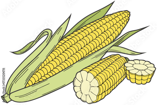 corn cobs isolated on white