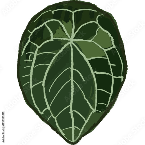 Drawing leaf illustrations unique ugly