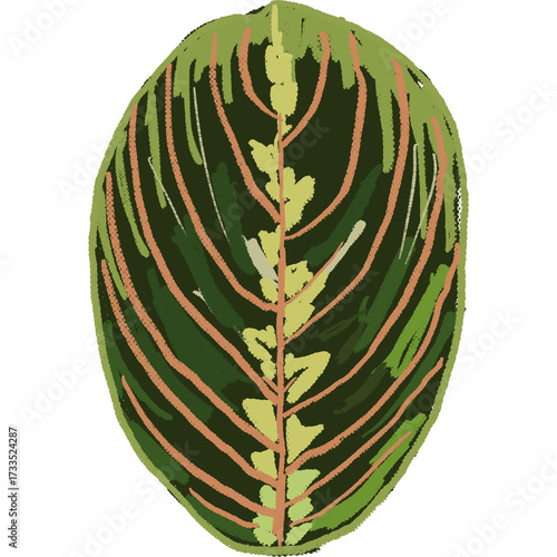 Drawing leaf illustrations unique ugly