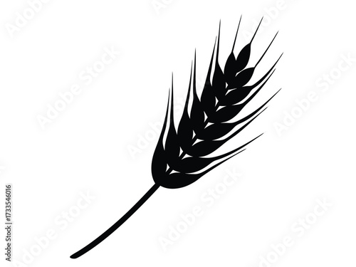 barley stalk silhouette vector icon