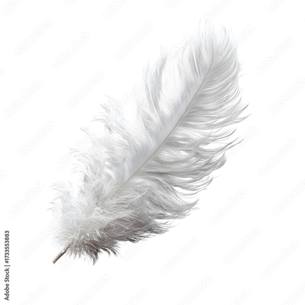 Obraz premium feather isolated on white background