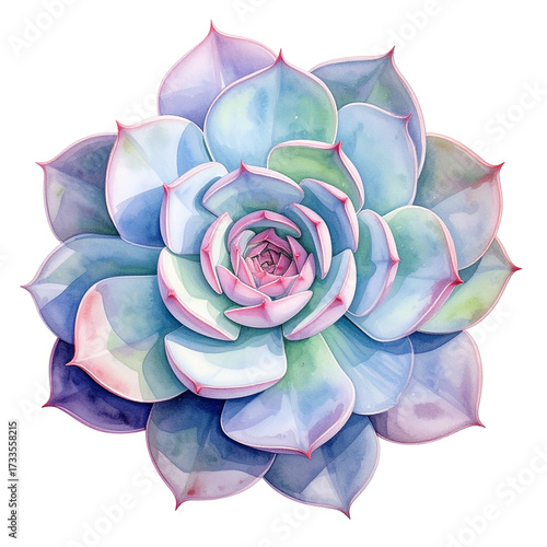 Succulent in Pastel Hues Watercolor PNG: A stunning watercolor captures the beauty of a succulent plant in soft, pastel colors, evoking feelings of tranquility and natural elegance.