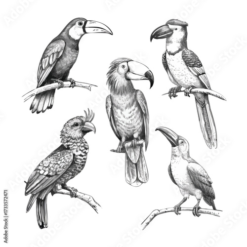 Monochrome Engraved Wildlife Set: Exotic Birds for Editorial Design