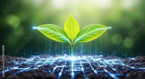 Digital agriculture and sustainable technology. Smart farming and genetic data analysis. Glowing seedling with binary code growing from a connected mesh network in soil