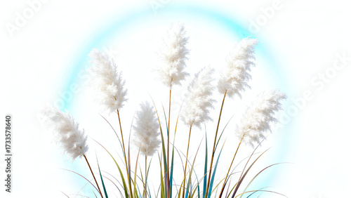 Reed in the Wind