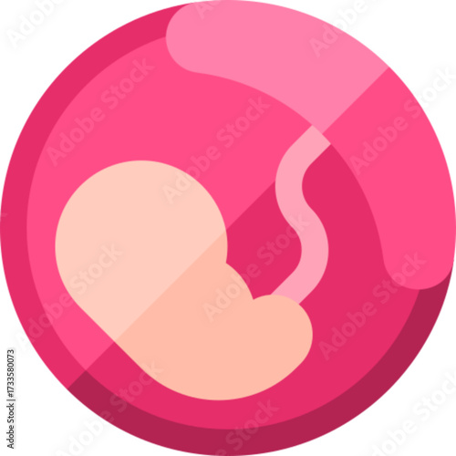 Placenta Anatomy Icon
