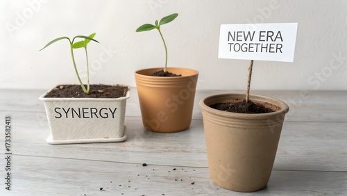Young plants growing in pots with a message of new beginnings
