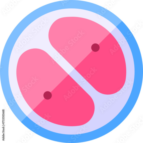 Zygote for biology concepts