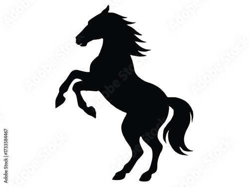 rearing horse silhouette vector icon