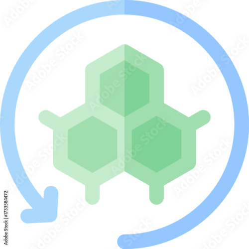 Skin Cell Renewal Regeneration Process