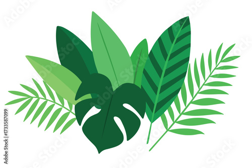 A cluster of various leaf shapes and shades of green, including broad leaves like a Monstera (split-leaf philodendron), banana or paddle-shaped leaves, and thinner, frond-like leaves typical of ferns.