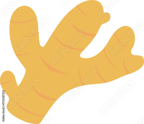 생강