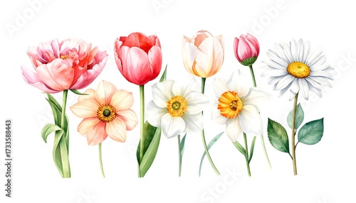 Fototapeta Naklejka Na Ścianę i Meble -  Watercolor floral arrangement