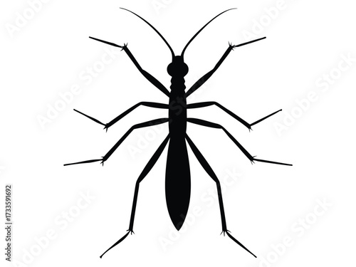 stick insect silhouette vector icon