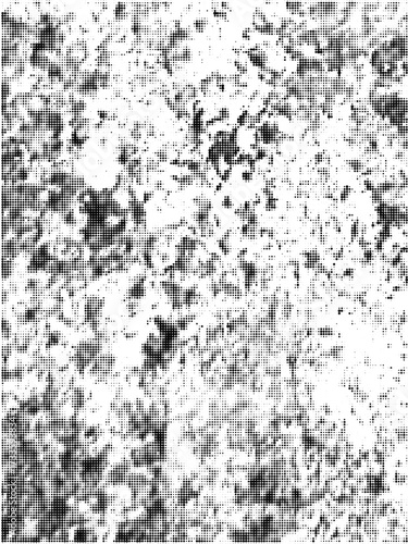 Retro Pop Art Vector Background Halftone Dots with Grunge Texture