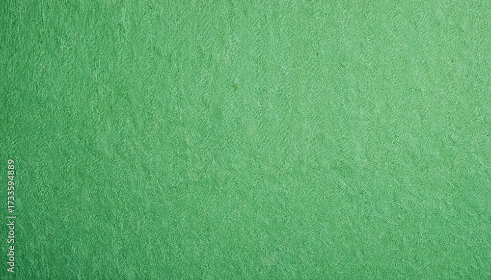 Fototapeta premium Light Green Paper Texture For Background