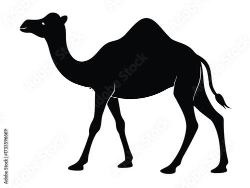 walking camel silhouette vector icon