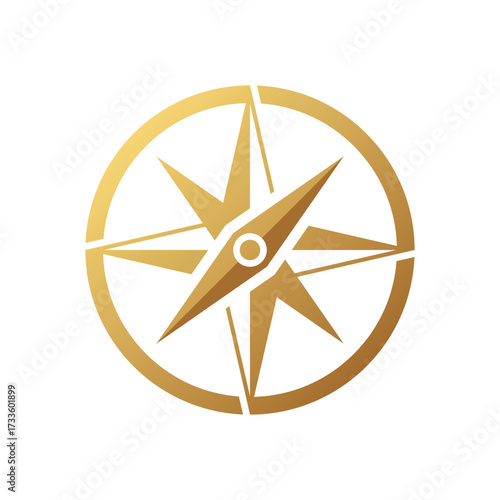 vector compass icon