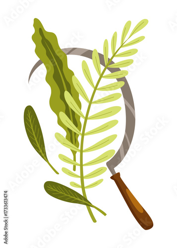 Aromatherapy natural traditional medicine icon. Herbs or healing plants. Healthcare concept. Flat graphic vector illustrations isolated on white background