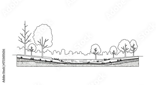 Line drawing of a stream profile with vegetation and geological layers diagram