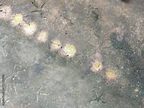 texture of the stone