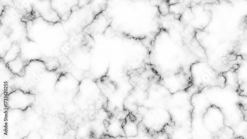 Elegant black and white stone texture for flooring or countertops. Modern abstract mineral wallpaper with subtle, classic marbling effect.