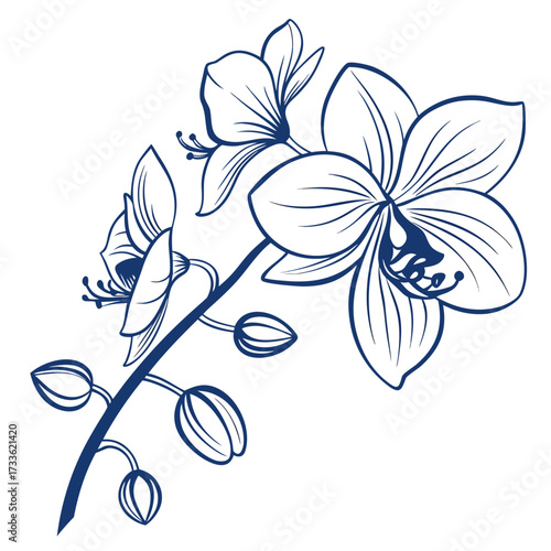 blue orchid vector